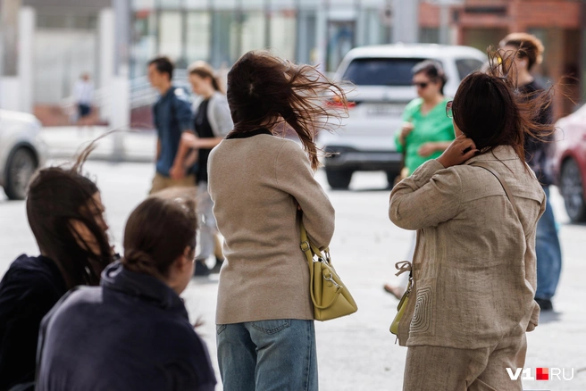 Пора доставать из шкафа теплые вещи | Источник: Алексей Волхонский / V1.RU