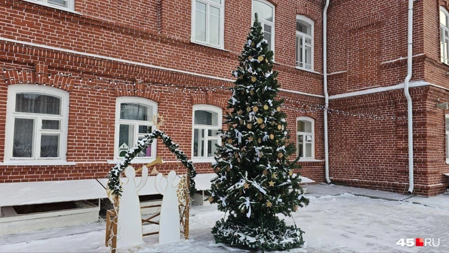 Елочка в театральном сквере возле театра кукол «Гулливер» | Источник: Дарья Никитченко / 45.RU