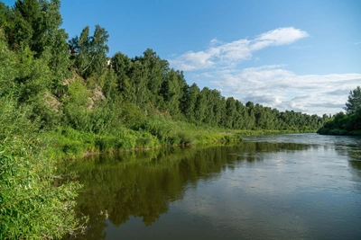 Вода в Исети в Далматово прибавила 10 сантиметров за сутки