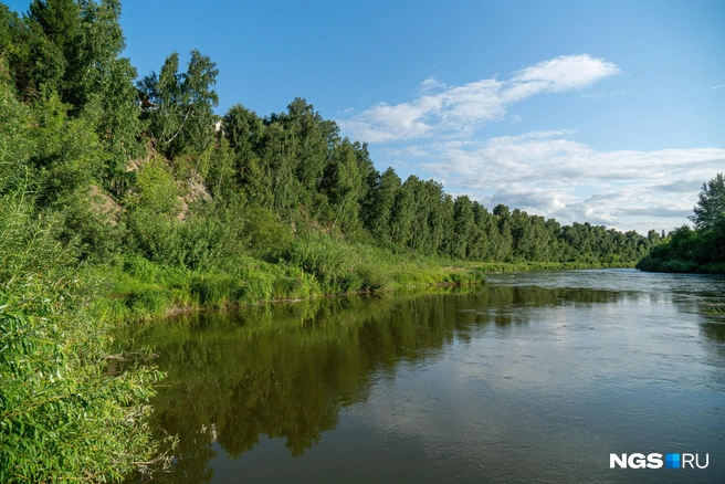 В Далматово уровень воды в Исети прибавил 10 сантиметров за сутки | Источник: Александр Ощепков / NGS.RU