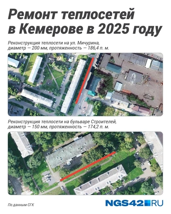 Источник: Полина Авдошина