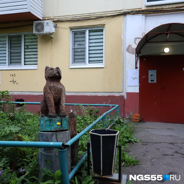 Вход в подъезд охраняет небольшой пес | Источник: Евгений Софийчук / NGS55.RU