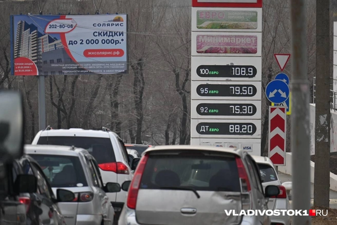 Источник: Елена Буйвол / VLADIVOSTOK1.RU