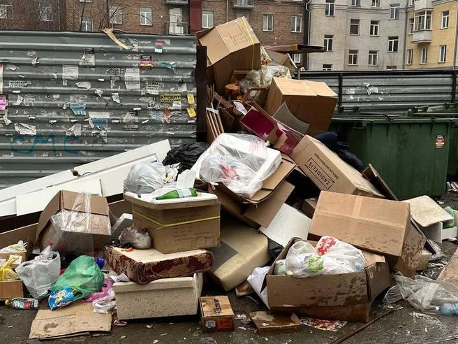 Состояние мусорной площадки около домов на улице Ватутина. | Источник: читатель НГС