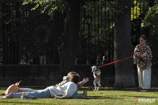 Ловите золотую осень. Погода в Петербурге не испортится и в начале следующей недели  | Источник: Михаил Огнев / «Фонтанка.ру»