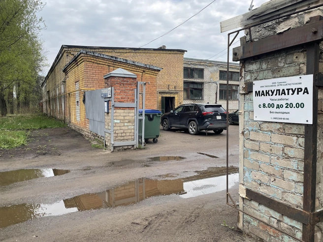 Переработка бумаги помогает сохранять леса и сокращать отходы на полигонах | Источник: «Гринлект»