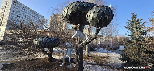 Источник: Ирина Булгакова / Voronezh1.ru