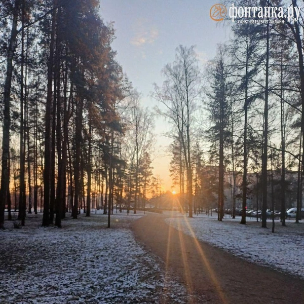 Источник: читатель «Фонтанки»