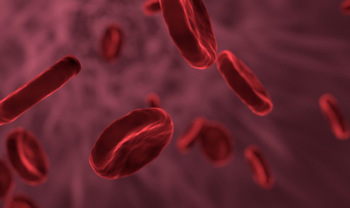 Онкологи нашли возможную причину возникновения рака крови