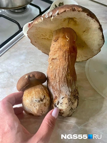 Источник: Читатель NGS55.RU