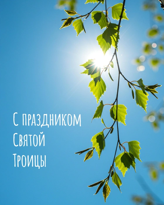 Источник: Городские медиа