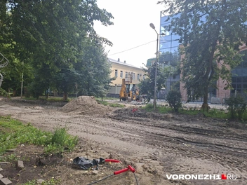 Источник: Алёна Воропаева / Voronezh1.ru