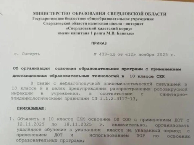Учащихся кадетской школы перевели на дистанционное обучение из-за инфекции | Источник: читатель E1.RU