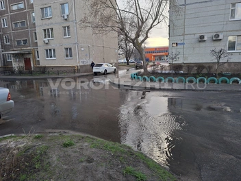 Источник: Алёна Воропаева / Voronezh1.ru