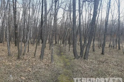 В Приамурье спасатели нашли двух заблудившихся девочек