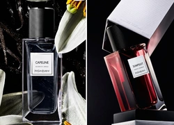 Ароматы дня: Capeline & Jumpsuit от YSL Le Vestiaire Des Parfums