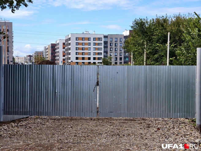 Источник: Булат Салихов / UFA1.RU
