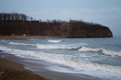 Любопытный кит подплыл к судну в бухте Соболь у Владивостока