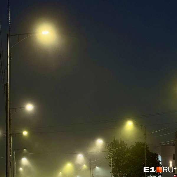 Наибольшее количество туманов наблюдается в летние месяцы — с июня по август \| Источник: Павел Кошкин