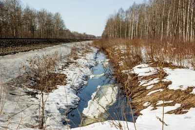 Погода в Алтайском крае: от мороза к дождю на неделе
