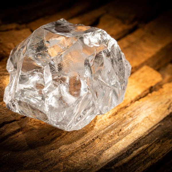 Источник: Губернатор Архангельской области Александр Цыбульский