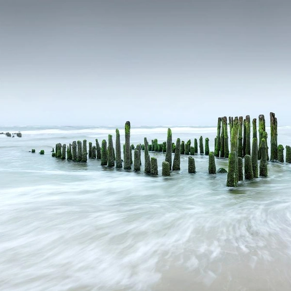 Источник: Ulla Moswald / Fine Art Photography Awards 2025