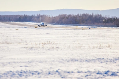 Altai Krai sees rise in immigration from abroad