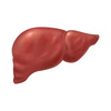 userpic__Печень