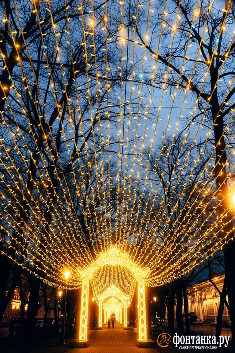 Источник: Наталья Гончарова / FONTANKA.RU