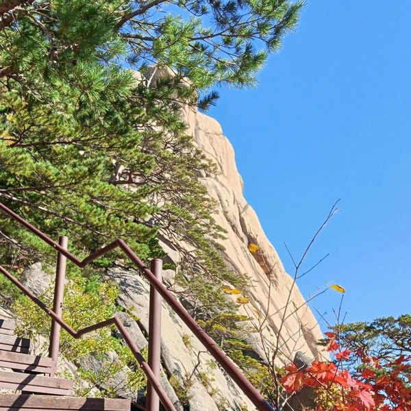 Лестница на гору Сораксан | Источник: личный архив Ирины Чирковой