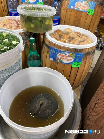 Арбуз в рассоле | Источник: Полина Шевчукова / NGS22.RU