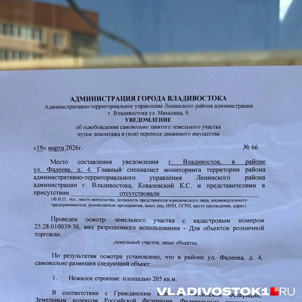 Источник: Елена Буйвол / VLADIVOSTOK1.RU