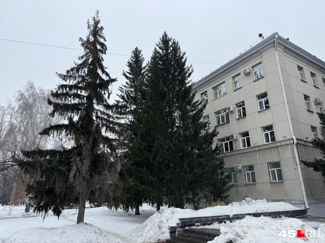 Источник: Юлия Король