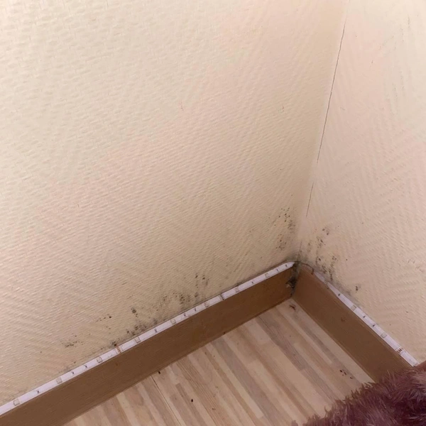 Следы плесени на стенах | Источник: Личный архив Виктории