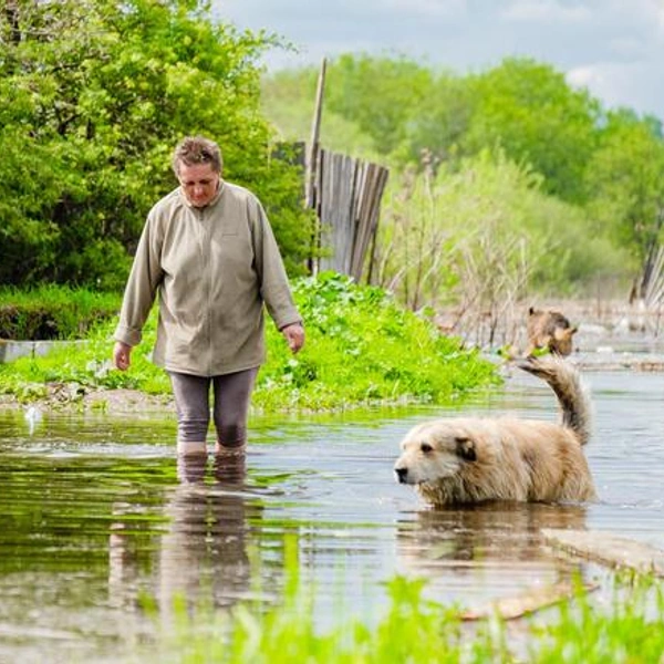 Источник: Тимофей Калмаков / 59.RU