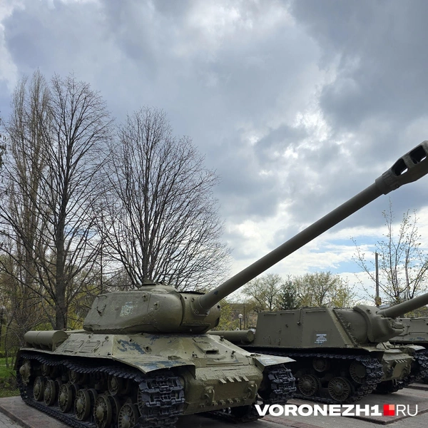 Источник: Ирина Булгакова / Voronezh1.ru