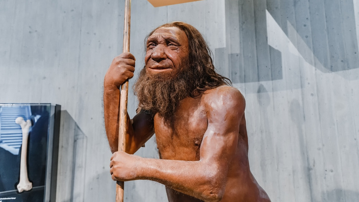 Что отличает людей от неандертальцев и обезьян? Объясняет нобелевский лауреат