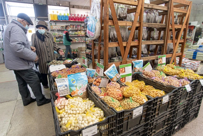 Долгое время ЦНТИ был раем для садоводов. Они приезжали за продуктами на ярмарку около дворца спорта «Юность» и заодно заглядывали сюда | Источник: Илья Бархатов