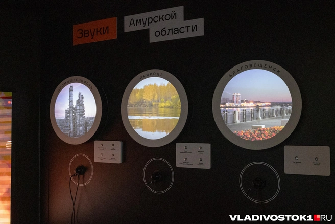 Источник: Елена Буйвол / VLADIVOSTOK1.RU