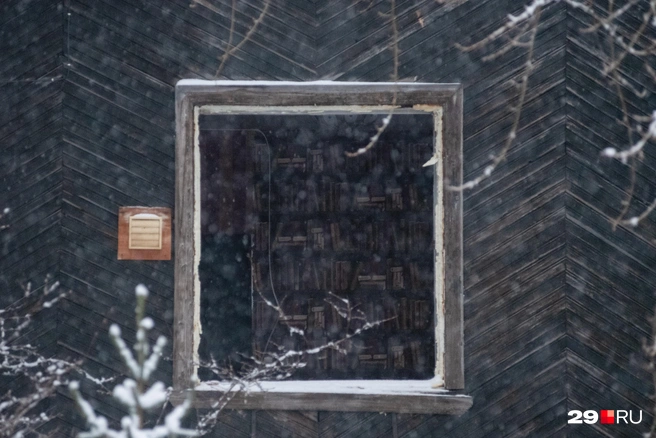 Источник: Иван Митюшёв / 29.RU