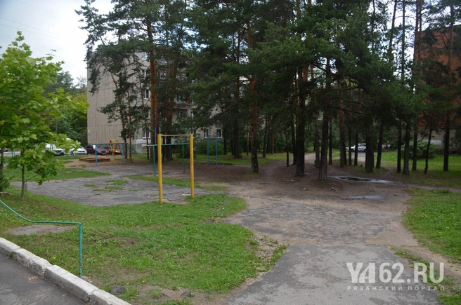 сосны в микрорайоне коммунар