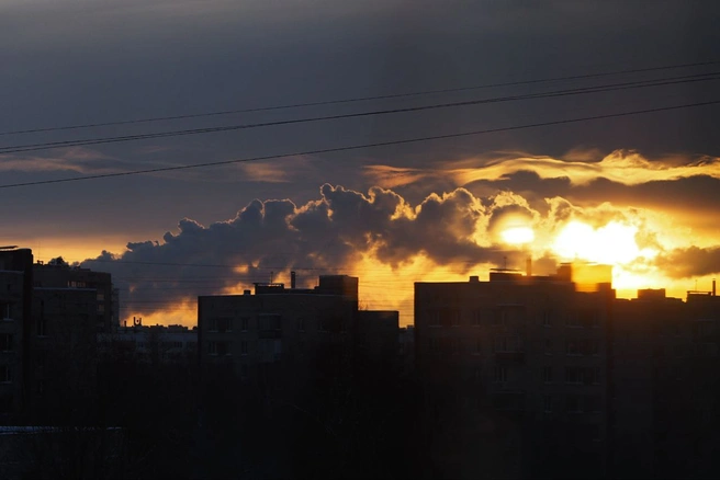 Источник: @rita_ptica