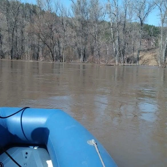 почему уходит вода в море | Дзен