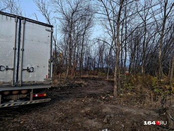 Экотропу еще не доделали | Источник: Виктория Федорова / 164.RU