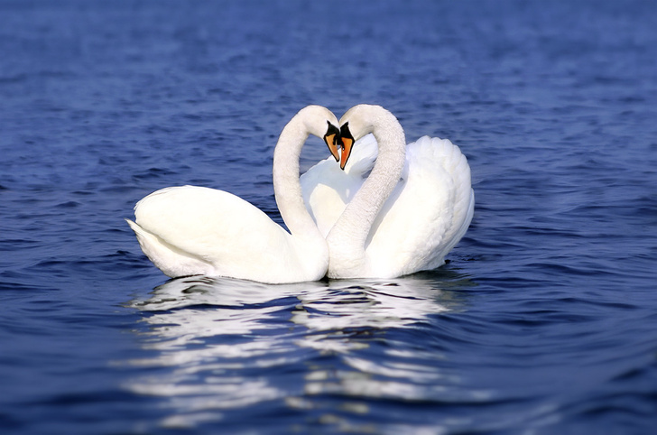 iStock
