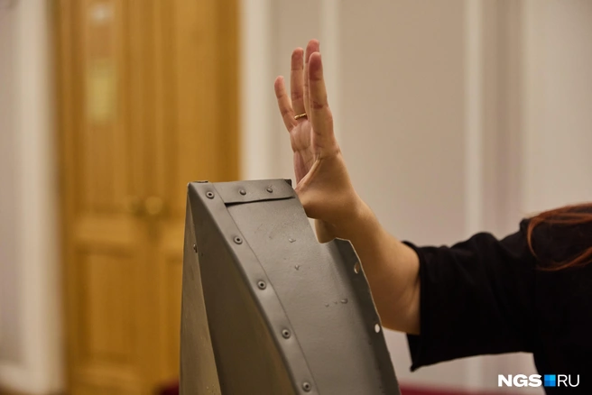 Специалисты отреставрировали 75% снятых чешуек, остальные изготовили | Источник: Александр Ощепков / NGS.RU