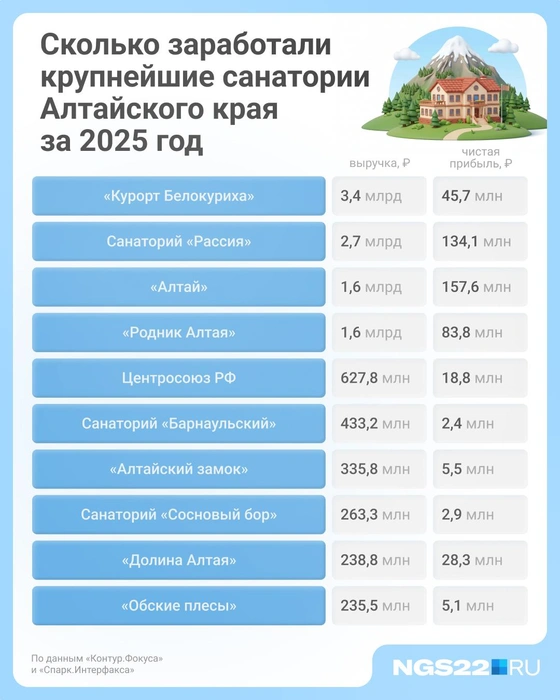 Сколько заработали крупнейшие санатории Алтайского края? | Источник: Городские порталы