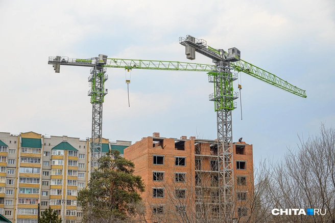 «Мы вынуждены оправдываться». Дочь депутата-строителя Красноштанова пожаловалась на проверки прокуратуры | Источник: Олег Фёдоров / CHITA.RU