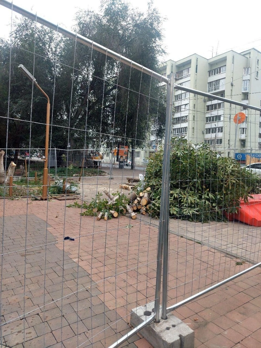 «На пересечении Полевой и Галактионовской спилили большой каштан»,&nbsp;— рассказали местные жители | Источник: МК в Самаре