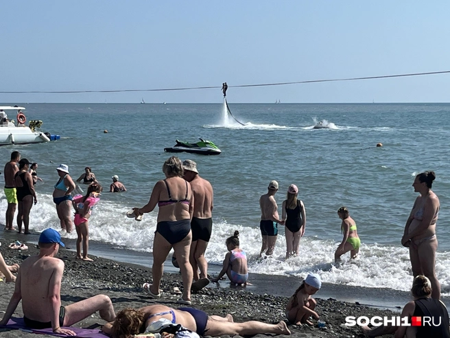 Дешево нужно было продавать в январе  | Источник: Анна Грицевич / SOCHI1.RU